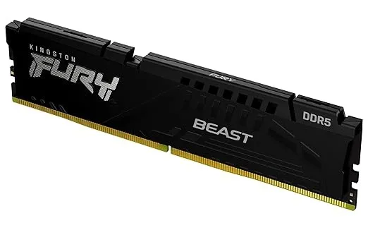 Kingston FURY Beast